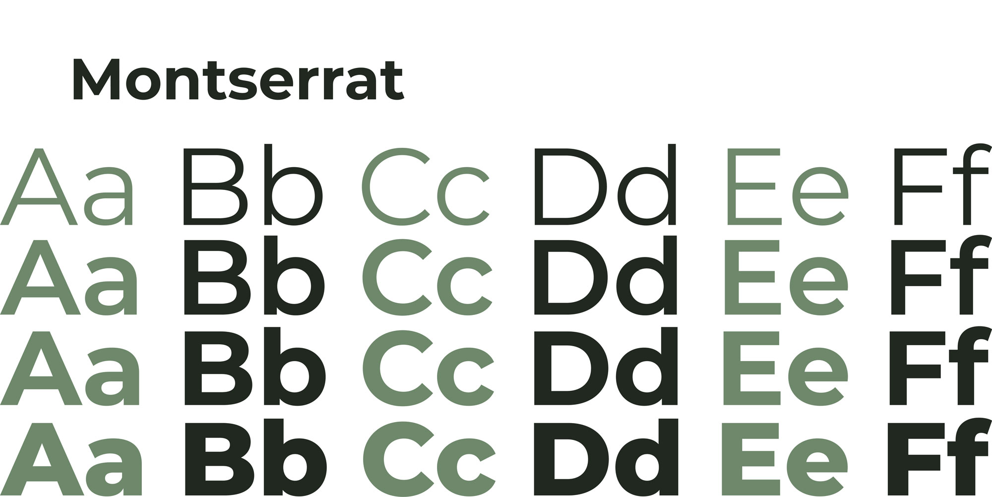 Definizione del font da utilizzare con il Logo e brand identity di Canottieri Outdoor Omegna realizzato da SEBA! grafico di Gravellona Toce nel VCO